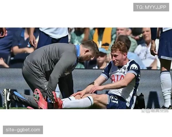 热刺伤病名单多达十一人 阵容残缺致战术体系难以运转